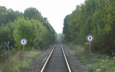 „MAKE OR BUY“ ODER WIE SIE MIT ÖFFENTLICHEN GELDERN AUF DEM ABSTELLGLEIS LANDEN